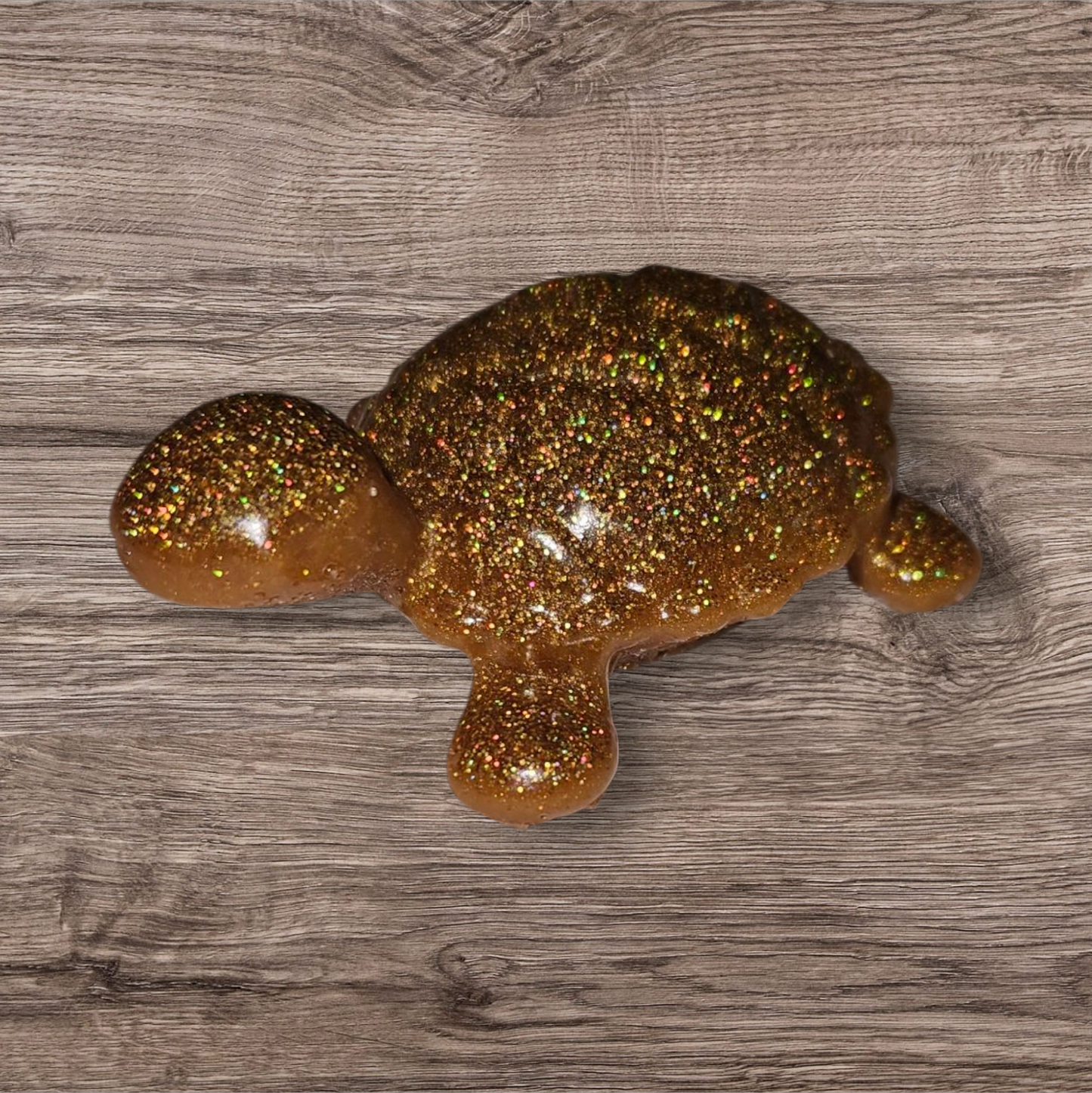 Small Sea Turtle