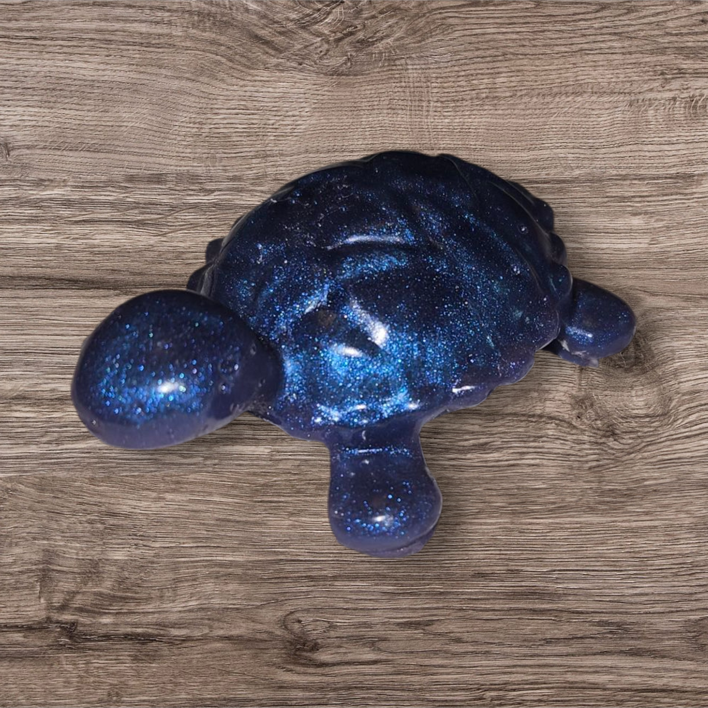 Small Sea Turtle