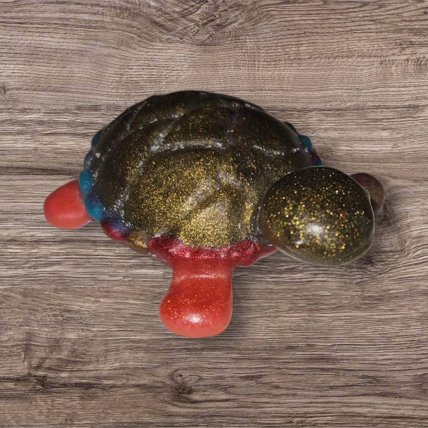 Small Sea Turtle