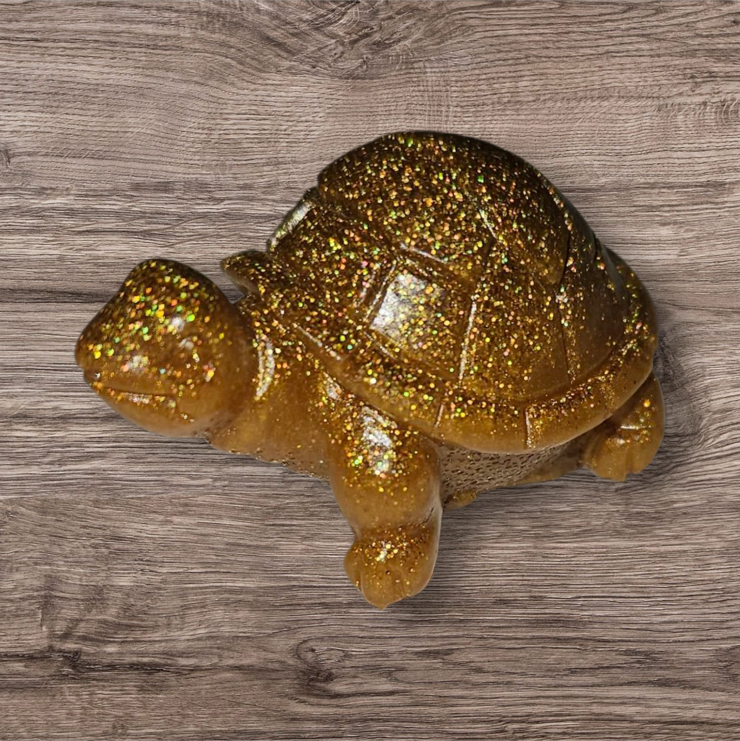 Tortoise