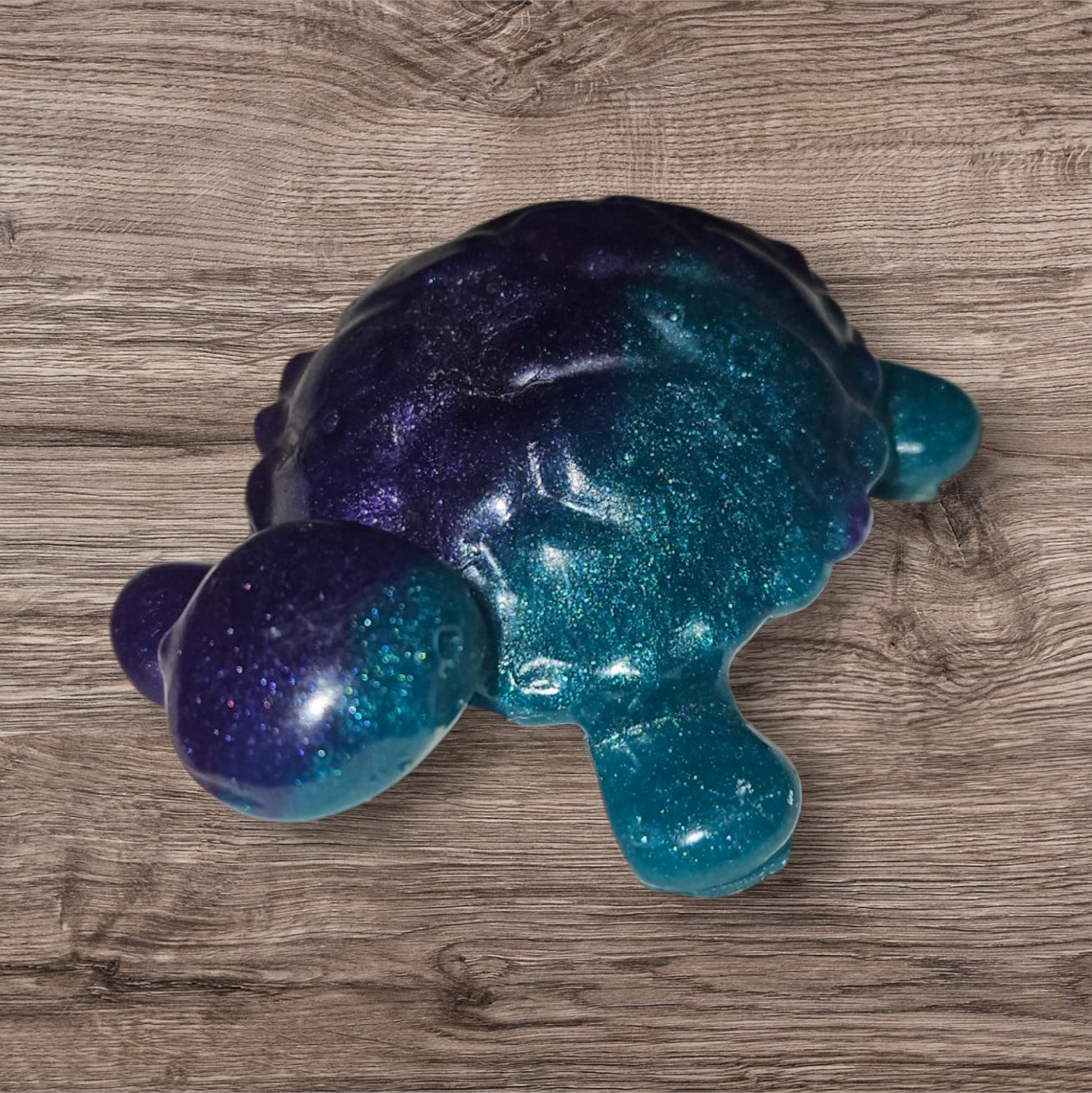 Small Sea Turtle