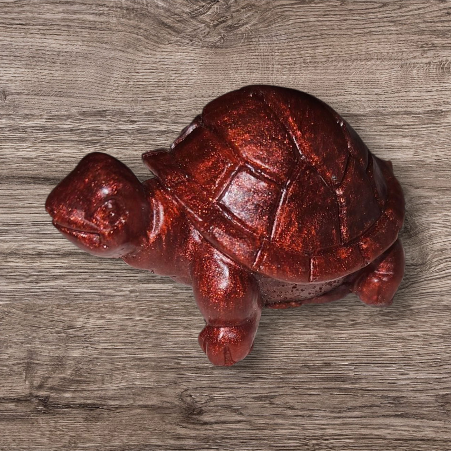 Tortoise