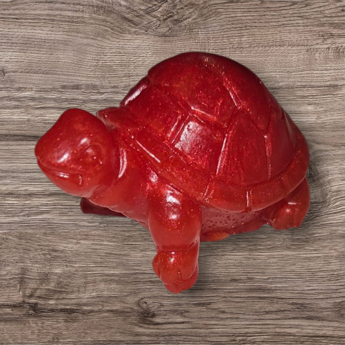 Tortoise