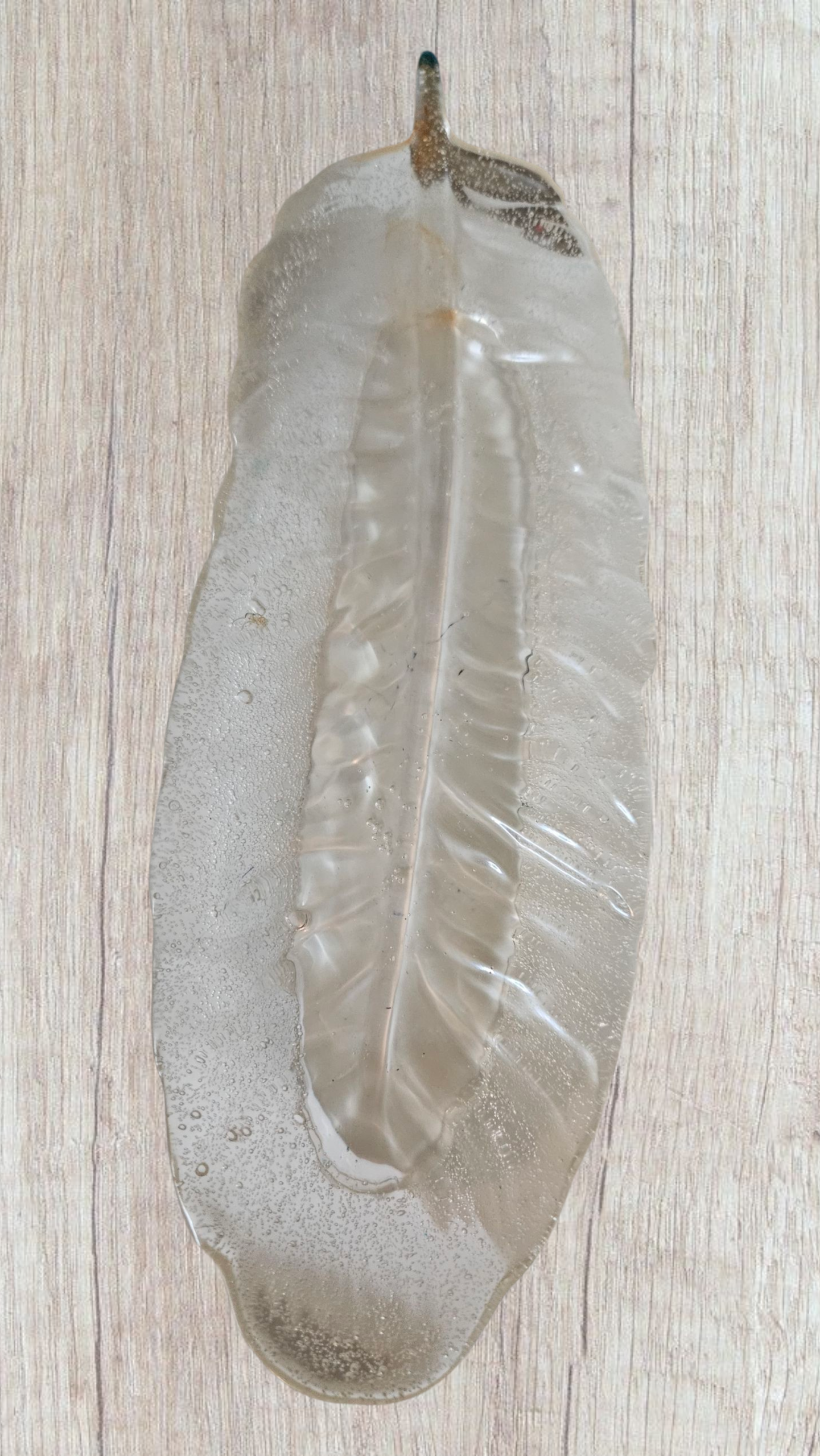 Feather Dish