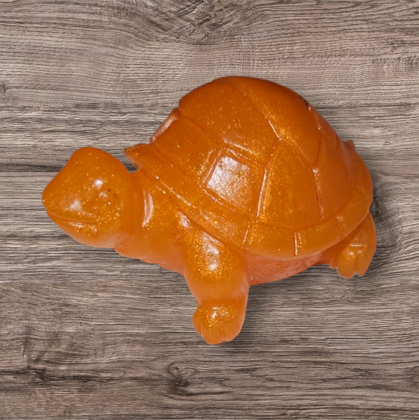 Tortoise