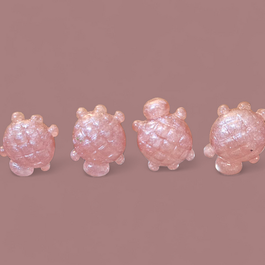 Resin Stud Turtle Earings