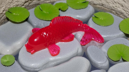 Koi Fish