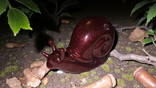 Snail