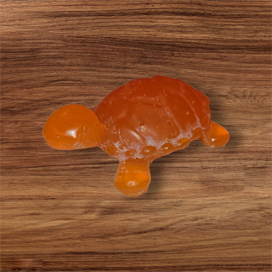 Small Sea Turtle