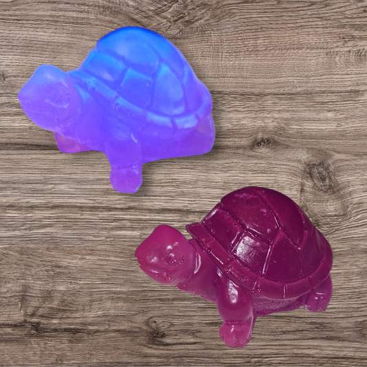Tortoise